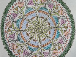 whatsapp image 2025-12-21 at 13.50.06